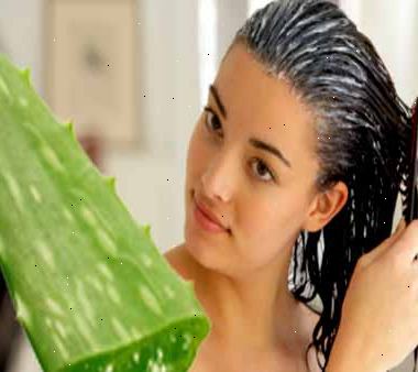 Hoe de conditie van je haar met aloe vera. Snij twee of drie grote, dikke bladeren van de aloë plant.
